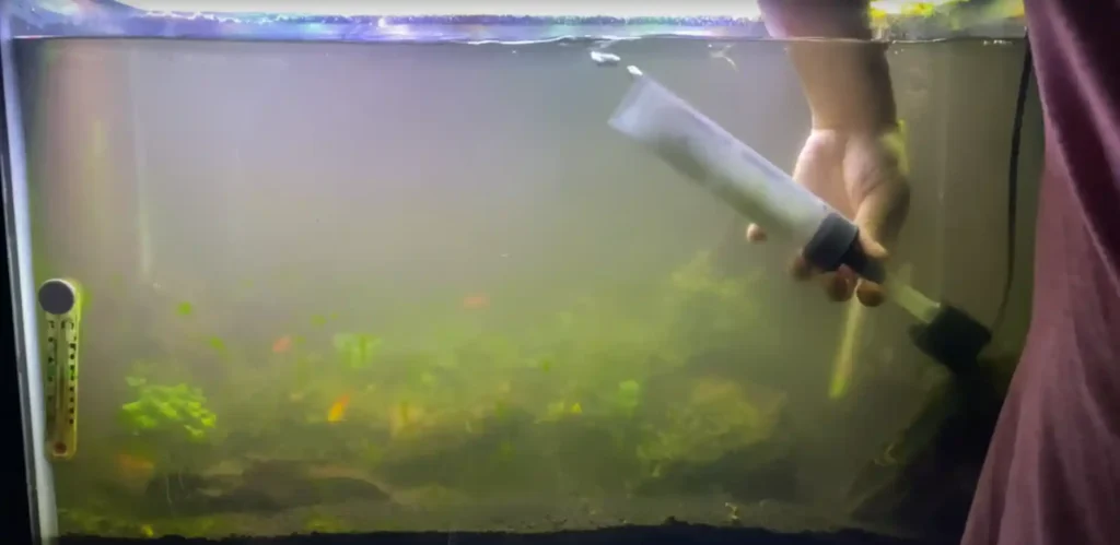 How to clean a fish tank glass with vinegar and baking soda