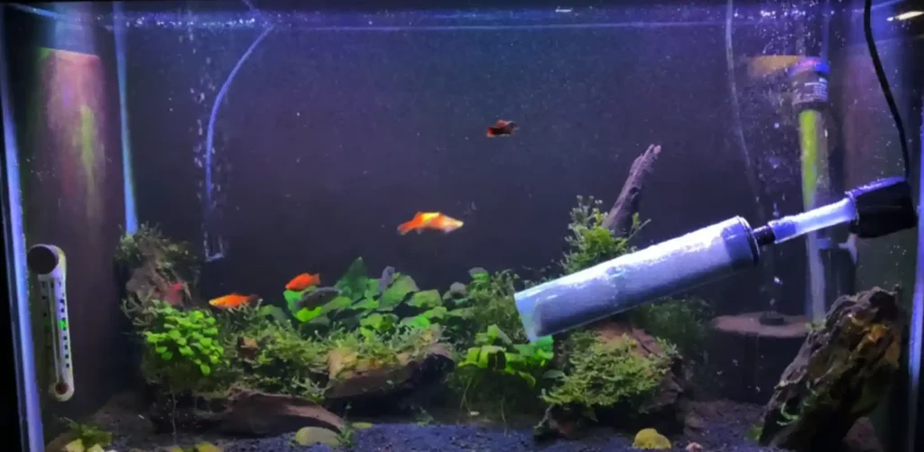 How to clean a fish tank glass with vinegar and baking soda